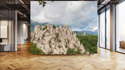 Dragon park mountains at Preobrazheniye city, Russia Wall mural