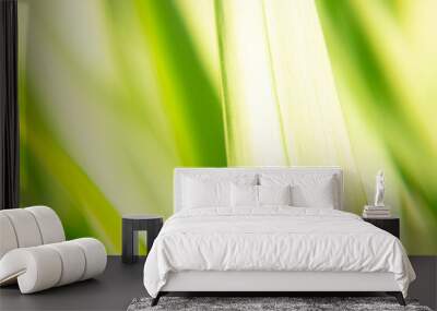 The background with blurred focus of green fresh grass of meadow illuminated by the sun. Wall mural