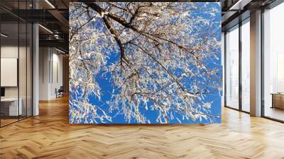 Tree covered by snow and blue sky Wall mural