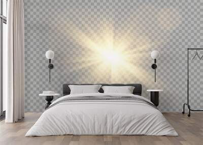 Vector golden light with glare. Sun, sun rays, dawn, glare from the sun png. Gold flare png, glare from flare png. Wall mural