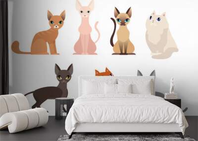 Vector illustration set of different cat breeds, cute pet animal collection, different cats on white background in cartoon flat style. Wall mural