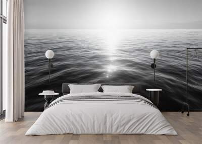 vertical video of black an3d white seascape with a distant horizon Wall mural