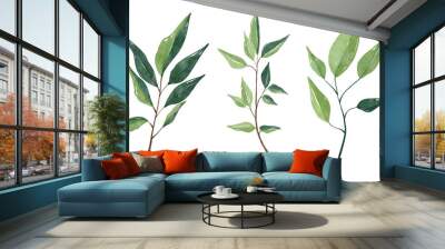 Watercolor leaves set. Set with floral elements and leaves. Wall mural