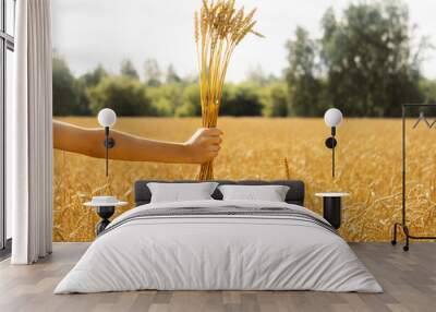 Woman's hand holds ears of ripe wheat against background of field. Concept of harvesting Wall mural