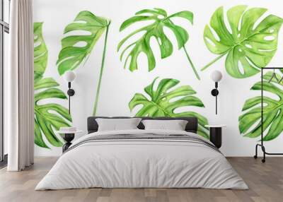 Green monstera leaf set. Tropical plant. Hand painted watercolor illustration isolated on white background. Realistic botanical art. Design element for fabrics, invitations, clothes and other Wall mural