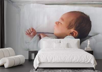 Newborn baby is sleeping in small transparent portable plastic bed. Baby first days of life is lying in a hospital crib after birth. Wall mural