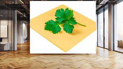 Cheese  isolated on white background. Slices of cheese for burger with parsley leaves  top view, flat lay Wall mural