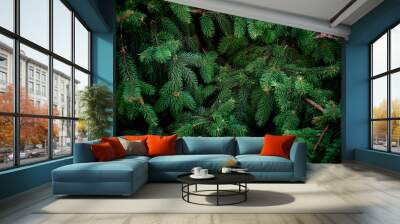 Christmas  Fir tree brunch textured Background. Fluffy pine tree brunch close up. Green spruce Wall mural