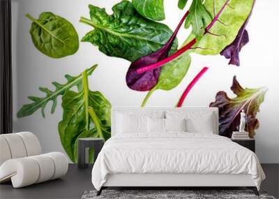 Flying Salad Leaves isolated on white background. Assortment of Green  salad with arugula, lettuce, chard, spinach and beets leaf. Wall mural