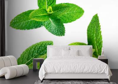 fresh spearmint leaves isolated on the white background. Wall mural