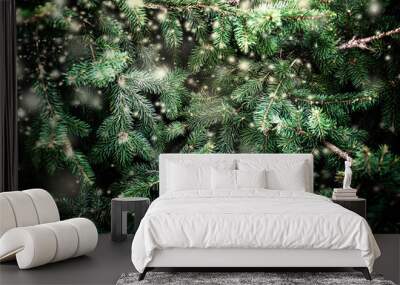 Merry Christmas Background with falling snowflakes and fir tree branches. Copy space.. Wall mural