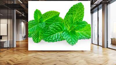 Mint leaves isolated on white background. Fresh peppermint on white background. Melissa close up Wall mural