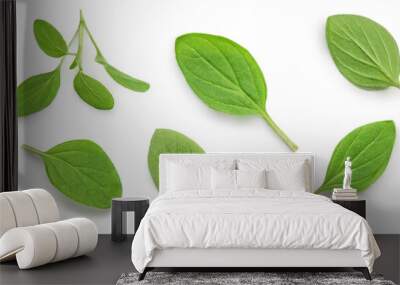 Oregano or marjoram leaves isolated on white background. Pattern. Fresh oregano spice top view. Flat lay Wall mural