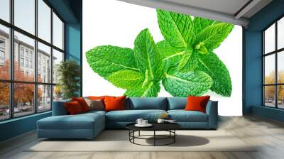 Peppermint Isolated. Fresh mint leaves on white background, top view. Close up Wall mural