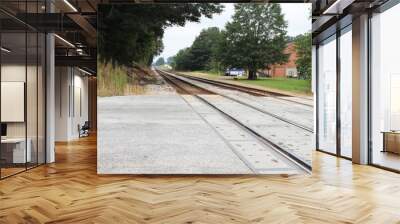 Train tracks running into the distance in a late summer landscape with trees, buildings, and a dog
 Wall mural