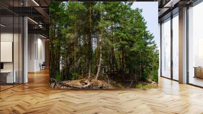 Coniferous forest is reflected in a lake with granite shores Wall mural