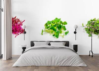 Microgreen sprouts of radish, mustard, arugula, peas, amaranth in assortment on a white background. Copy space. Place for an inscription. Vegan and healthy food concept. Wall mural