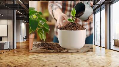 Person planting a young green plant in a white pot, adding soil, and engaging in indoor gardening Wall mural