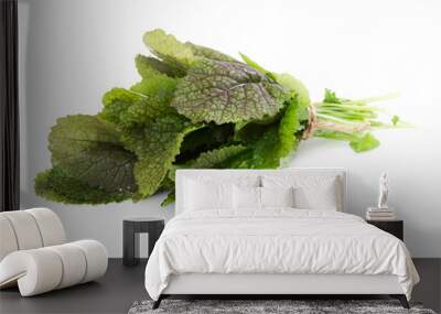 Mustard leaf salad Wall mural