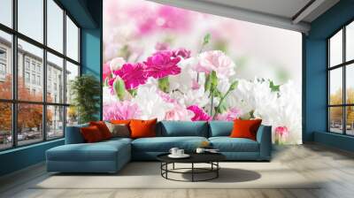 Pink and white carnation flowers Wall mural