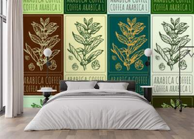 Set of vector drawing ARABICA COFFEE in various colors. Hand drawn illustration. Latin name is COFFEA ARABICA L.
 Wall mural