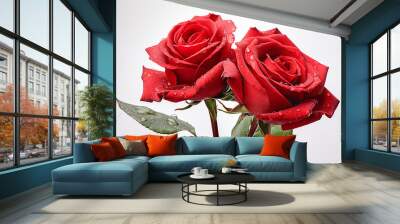 two freshness red roses on white background with copy space Wall mural