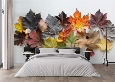 Bunch of different colored leaves on a white background Wall mural