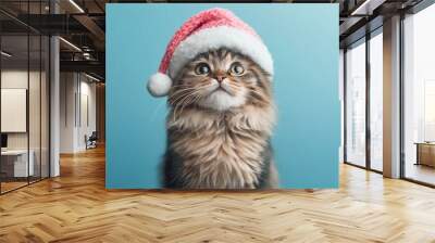 A cat wearing a Santa hat is standing in front of a blue background. The cat's eyes are wide open, and it is looking at the camera. Concept of playfulness and holiday cheer Wall mural