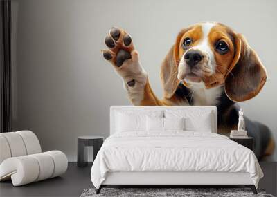 A cute little dog with brown, white, and black fur is wagging its tail and looking up at the camera. beagle raising one paw to give high five islolated on a white background Wall mural