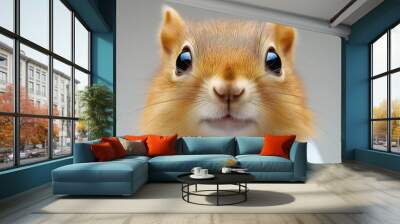 A cute little squirrel with a blue shirt on. The squirrel has a big, curious look on its face Wall mural