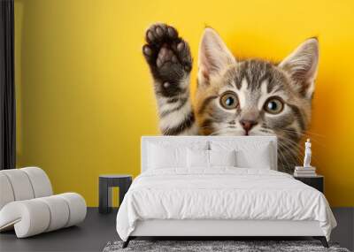 A kitten is waving its paw in the air. The kitten is looking at the camera with a curious expression Wall mural