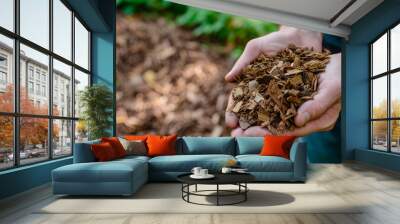 A person is holding a handful of wood chips. Concept of manual labor and the importance of using natural materials for landscaping Wall mural