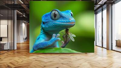 Blue and white spotted lizard is eating a bug. The lizard is on a branch. The bug is on the lizard's mouth. gecko huge and blue eating a fly Wall mural