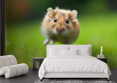 Hamster in the jump. Funny hamster, flying. cute little hamster try move to hand, hamster feeling wonder and excite, hamster on nature background, pet in home. Wall mural