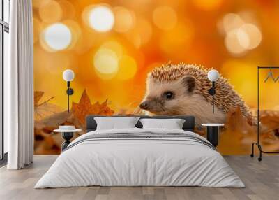 Small brown hedgehog is laying on a pile of leaves. The leaves are orange and scattered around the hedgehog. A curious hedgehog exploring a leaf pile, on an autumnal background, Wall mural