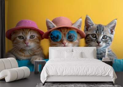 funny adorable kittens wearing hats Wall mural