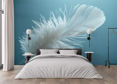 white bird feather on a light blue background Wall mural