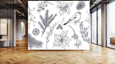 Collection of natural Christmas objects - plants, bird, flowers, spruce branch. Wall mural