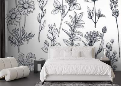 Hand drawn flowers and herbs vector set Wall mural