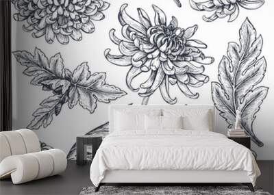 Set of hand drawn chrysanthemum flowers Wall mural