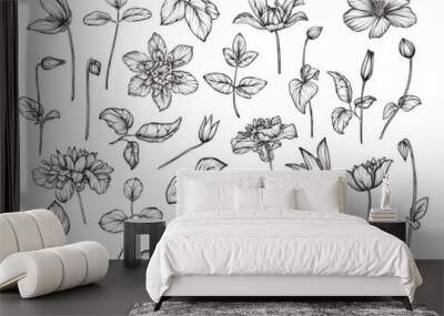 Set of hand drawn vector garden flowers and leaves in black and white sketch style Wall mural