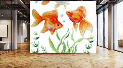 Watercolor vector collection of  hand drawn goldfishes Wall mural