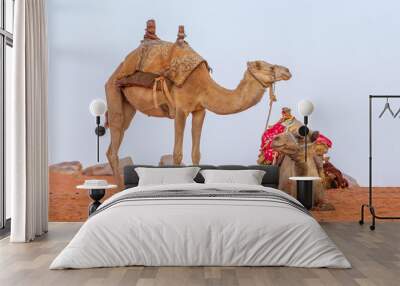 Camels with saddle in Jordan desert Wall mural