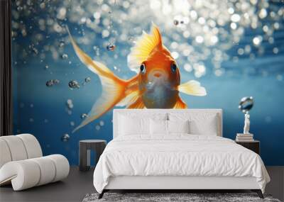 gold fish in blue water Wall mural