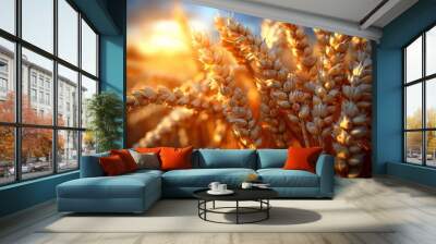 Golden wheat field glowing under the warm rays of the setting sun Wall mural