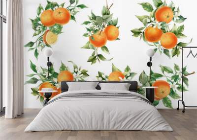 Orange fruit watercolor illustration isolated on transparent background. Blossom orange branch for labels, prints, banners, citrus wedding. Healthy food design elements Wall mural