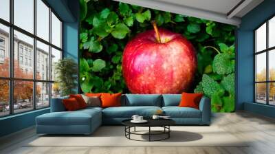 red apple on tree Wall mural