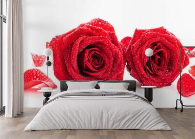 Two red roses with petals in dew drops. Isolate on white background Wall mural