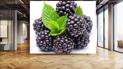 blackberry on white background Wall mural