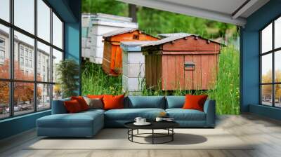 Wooden multi-colored beehive on a green flower meadow. Selective focus. Wall mural